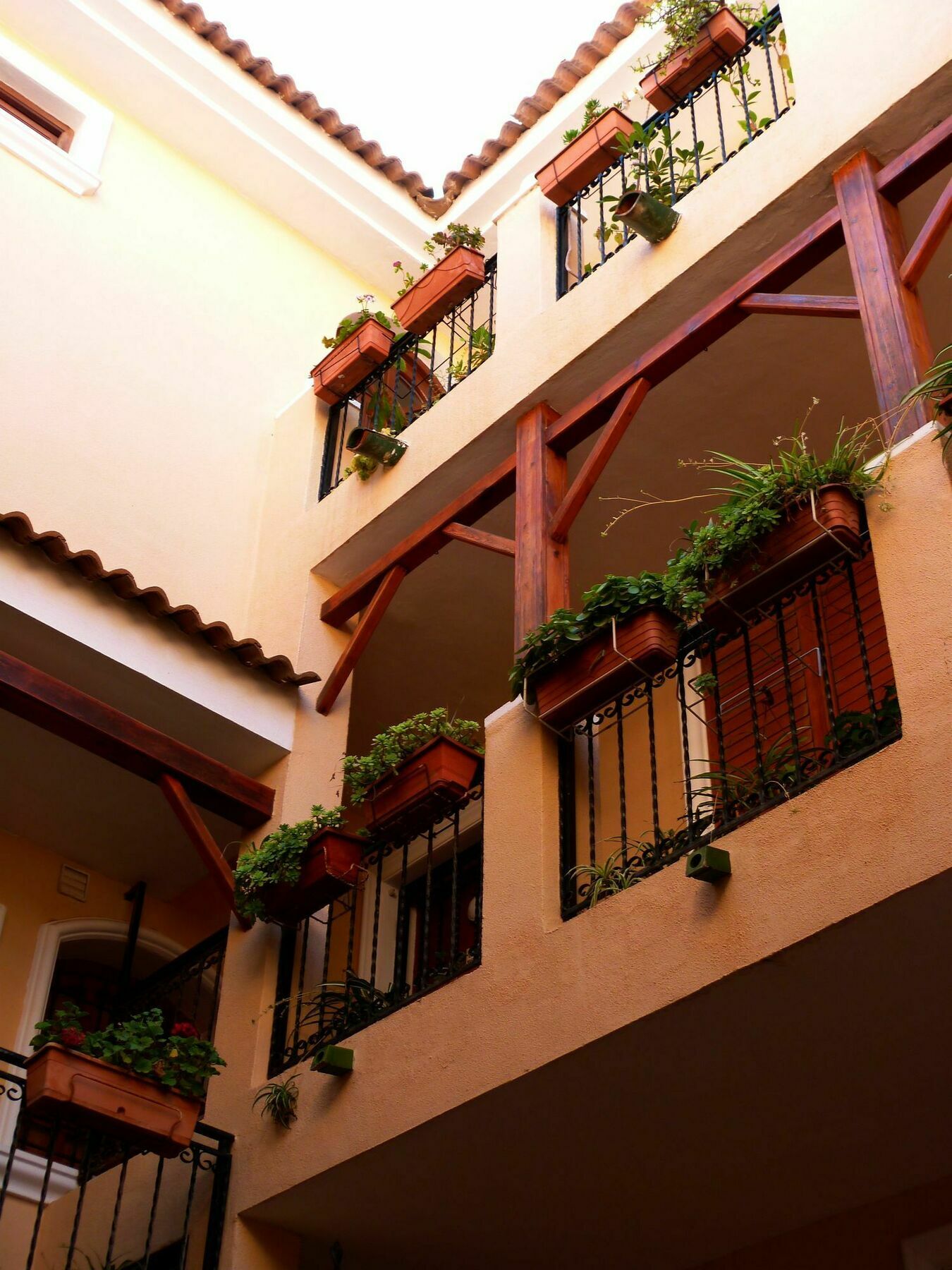 Shoal Apartamento Orihuela